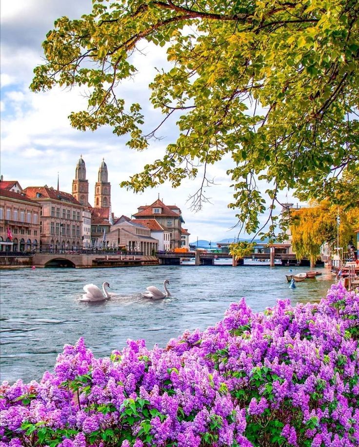 Tour Tây Âu: Pháp – Thụy Sỹ – Ý – Vatican 11N10Đ 2026 | Paris – Zurich – Venice – Rome (Turkish Airlines)
