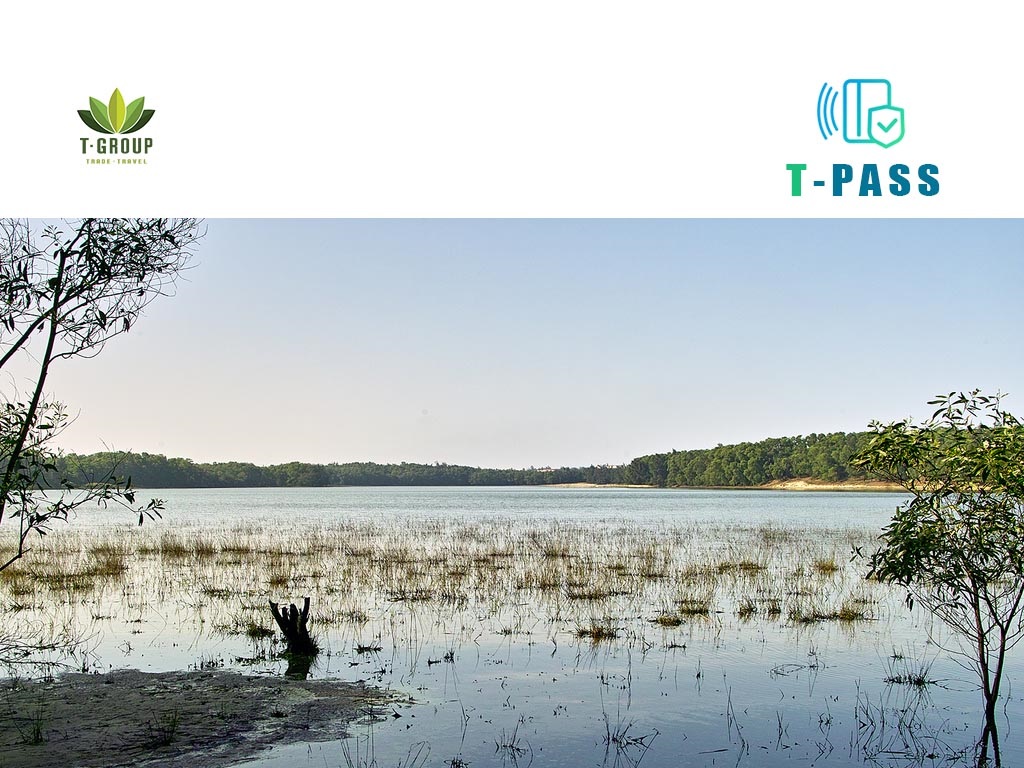 Di chỉ khảo cổ học Bàu Tró, Quảng Bình