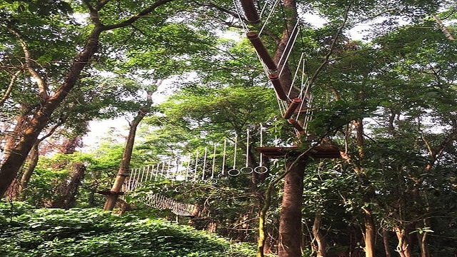 Công viên Ozo Treetop Park, Quảng Bình