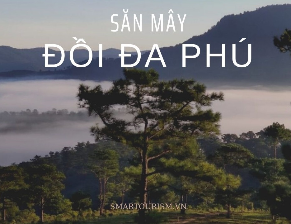 Tour cắm trại tại đồi Đa Phú Đà Lạt