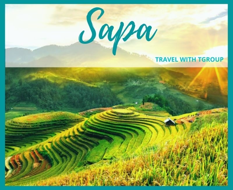 Khởi hành từ Hà Nội, 2 ngày 1 đêm đến với Sapa - Hàm Rồng - Cát Cát