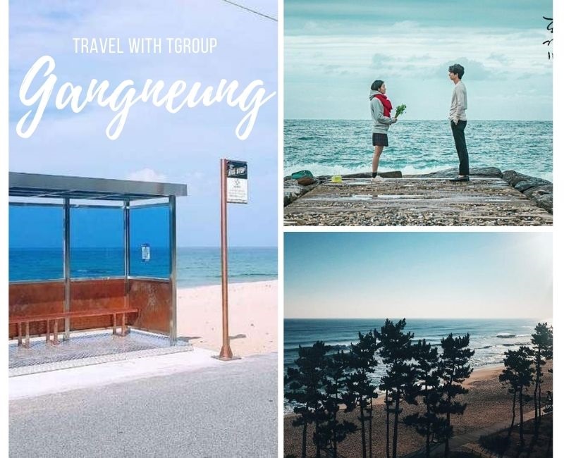 Tái hiện cảnh phim 'The Golbin' trong hành trình khám phá Gangneung, đạp xe và thực hiện thử thách zipline