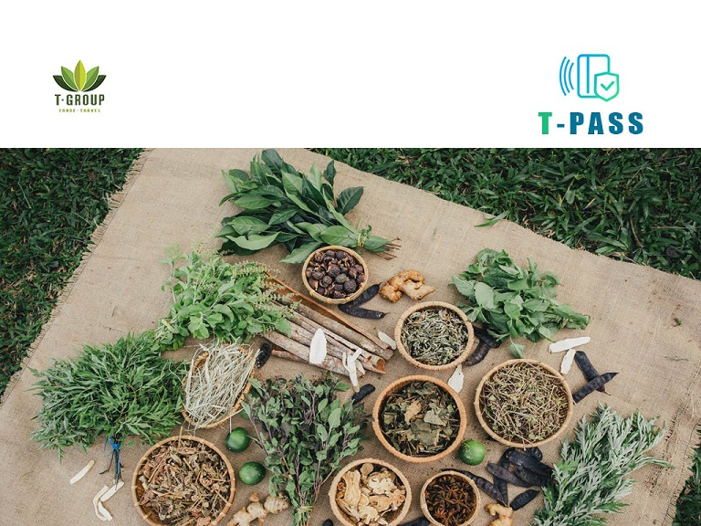 Massage khỏe Đà Lạt - Vườn dưỡng sinh Hương Thảo 