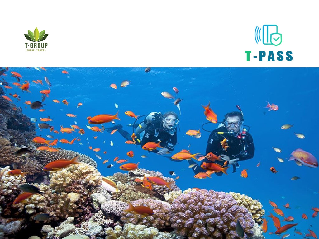 Tour riêng lặn biển Nha Trang kèm hướng dẫn viên