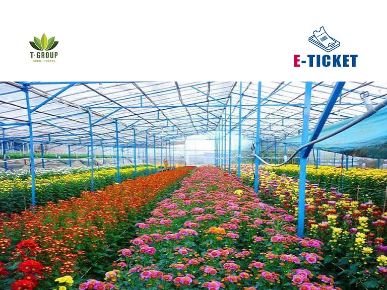 Làng hoa Vạn Thành Đà Lạt