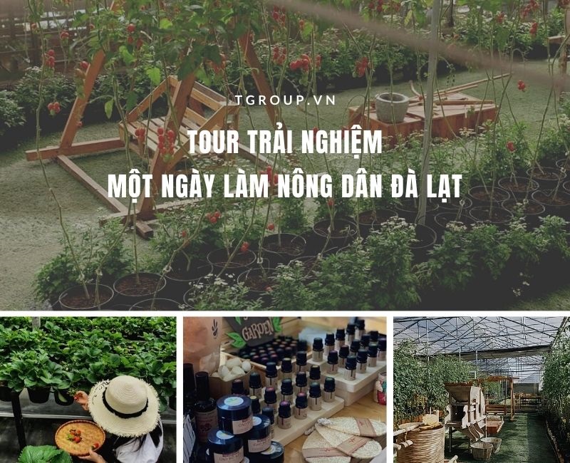 Tour trải nghiệm - Một ngày làm nông dân Đà Lạt