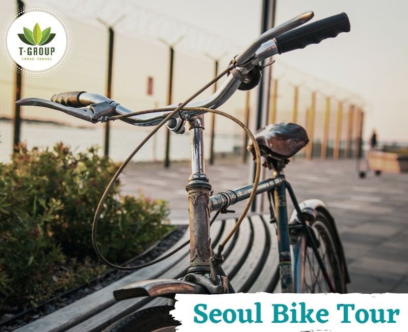 Nửa ngày đạp xe khám phá Seoul 