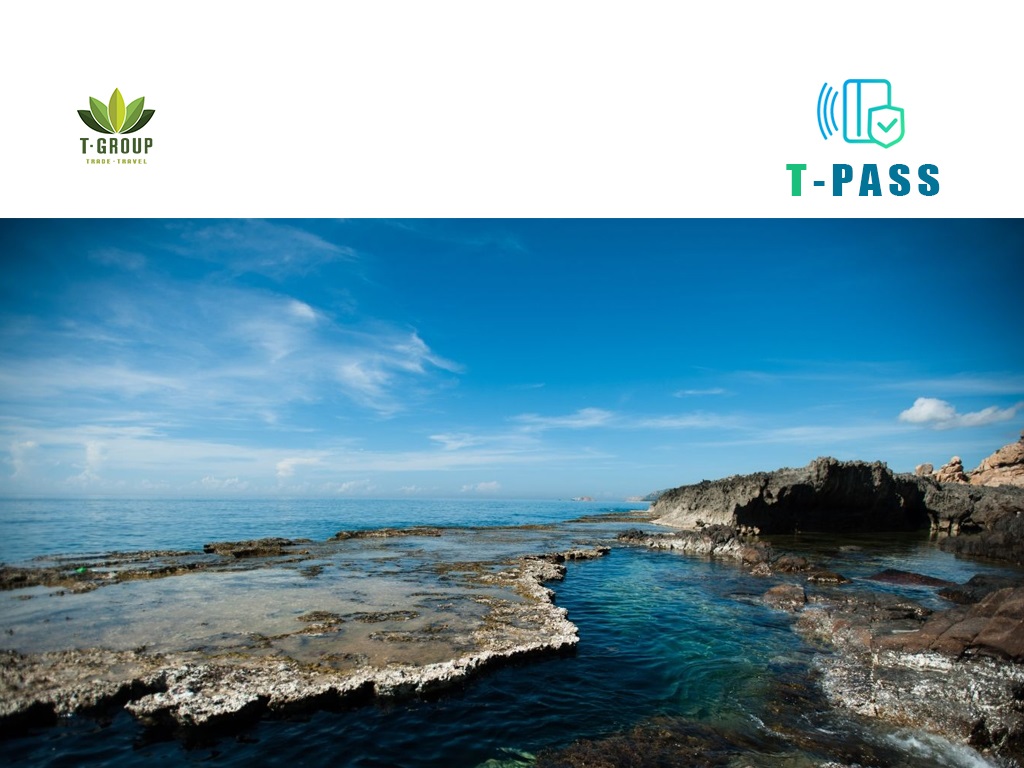 Tour Bình Hưng - Hang Rái - Đồng Cừu - Vườn nho Nha Trang