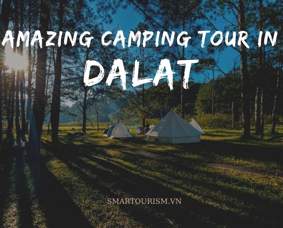 Tour cắm trại đặc biệt tại Đà Lạt