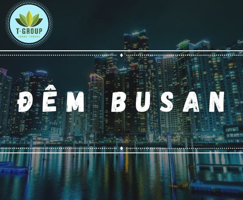 Khám phá đêm Busan - Ghé thăm Hwangnyeong, đảo Dongbaek, trung tâm chiếu phim Busan