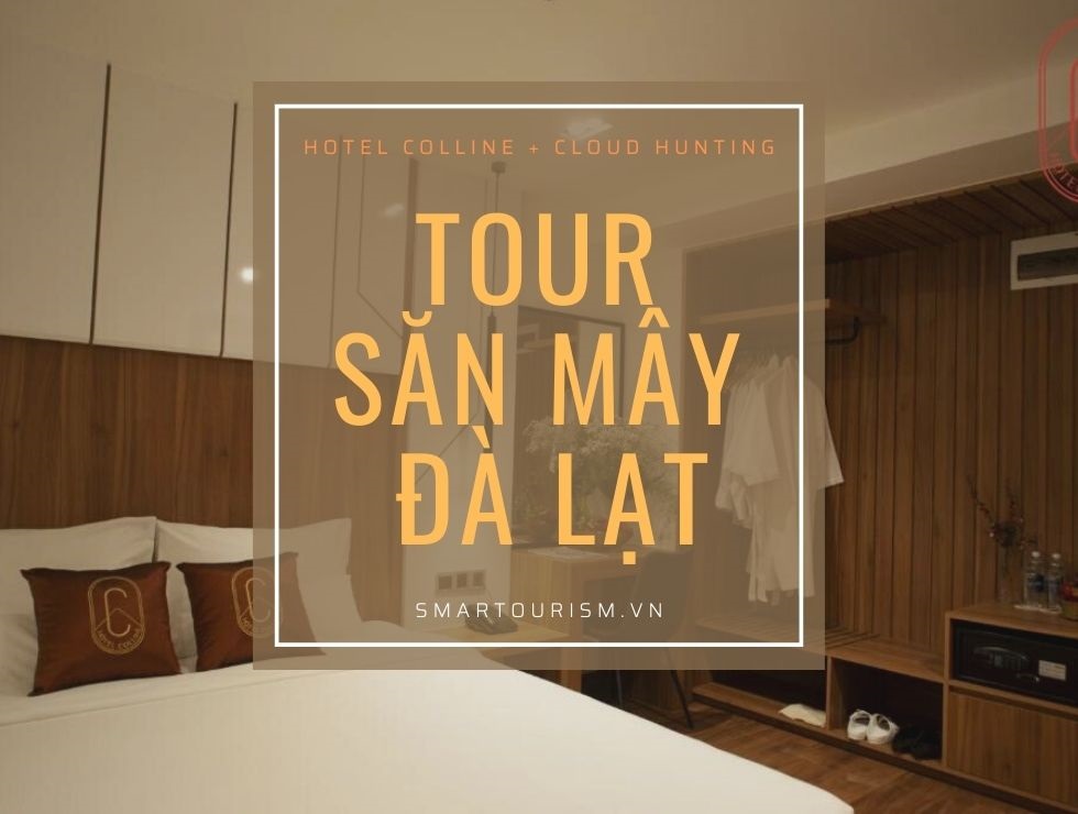 Tour săn mây cao cấp tại Đà Lạt 
