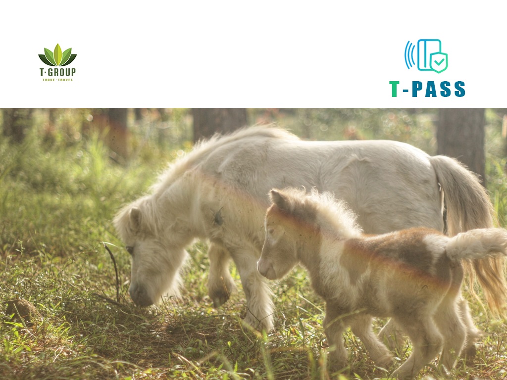 Tour tham quan sở thú Zoodoo Đà Lạt