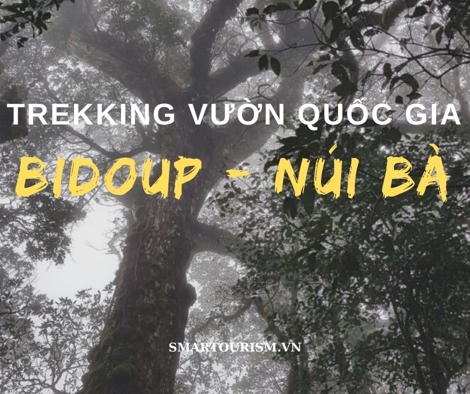 Tour Trekking tại vườn quốc gia Bidoup - Núi Bà