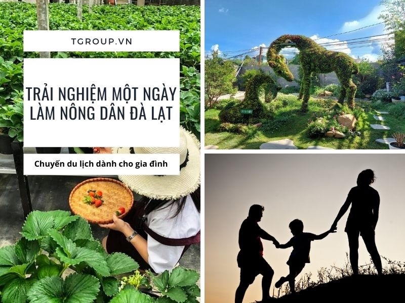Tour dành cho gia đình nhỏ - Trải nghiệm một ngày làm nông dân Đà Lạt