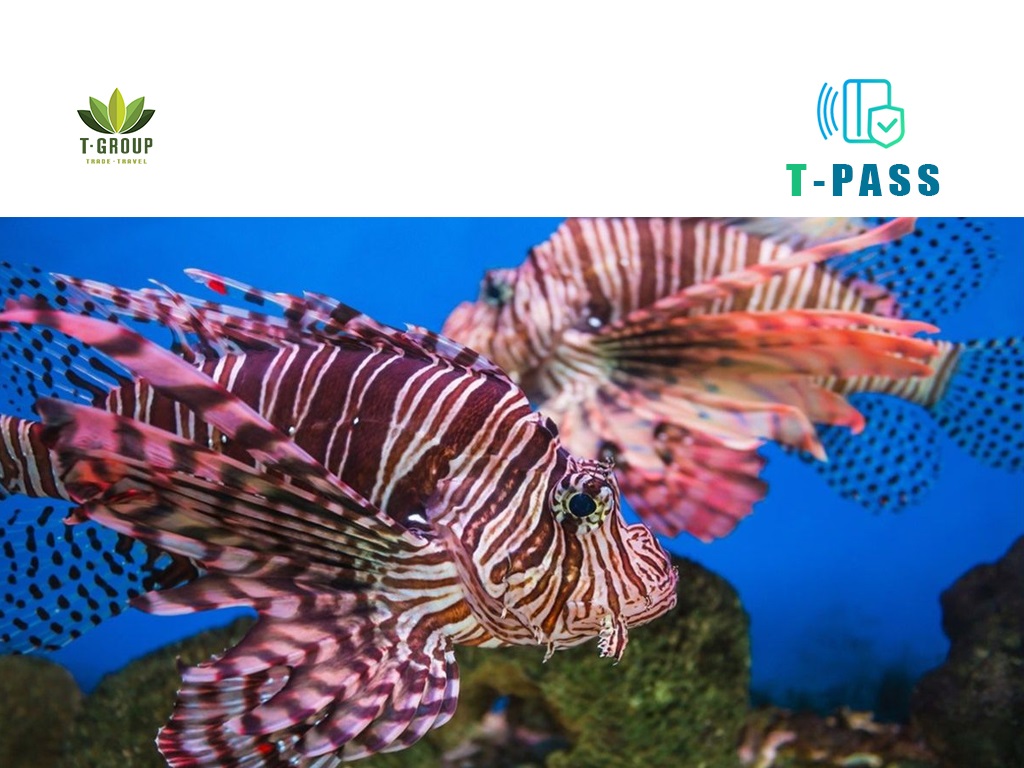 Viện Hải dương học Nha Trang