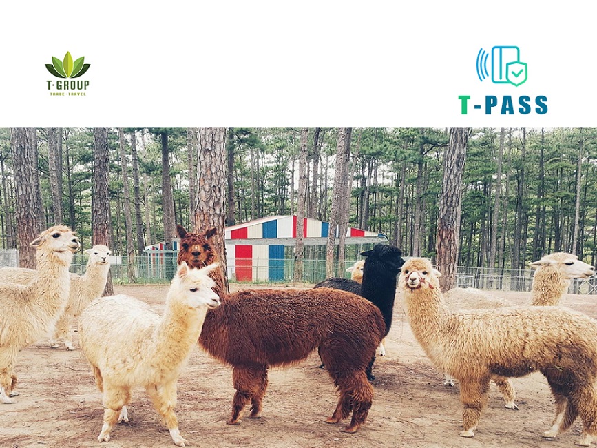 Zoodoo - Sở thú phong cách Úc tại Đà Lạt