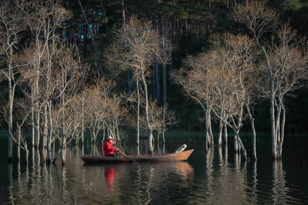 베트남 달랏의 미니어처 파라다이스 투옌 람 호수 Tuyen Lam Lake, A Miniature Paradise In Dalat