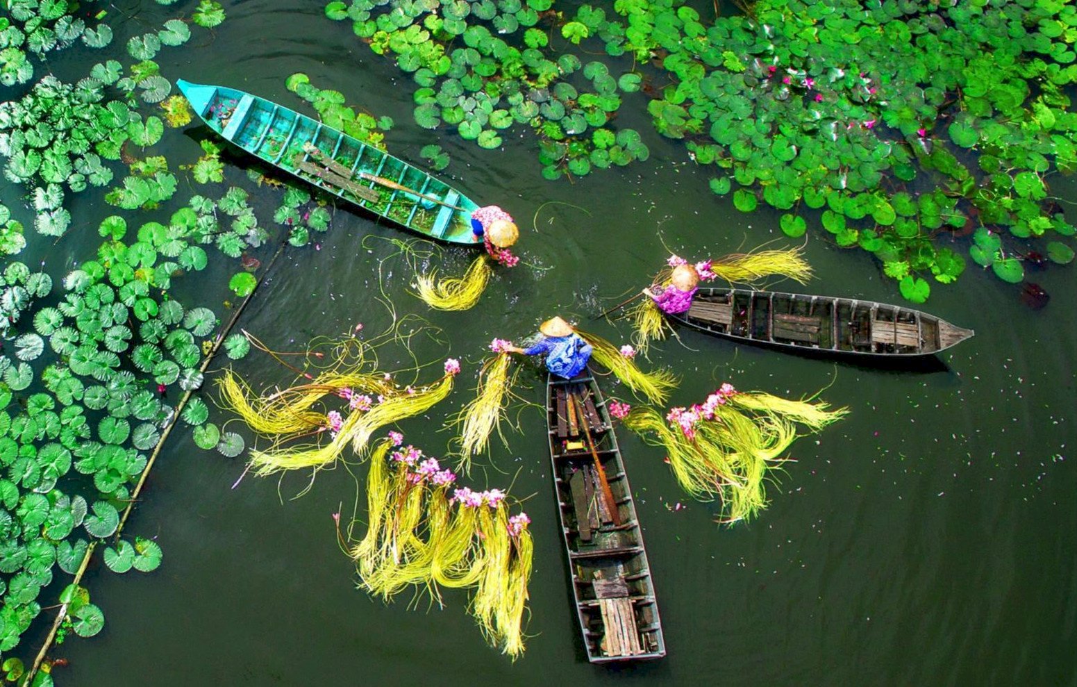 메콩강 삼각주에서의 기억에 남는 4일 4 memorable days in the Mekong Delta
