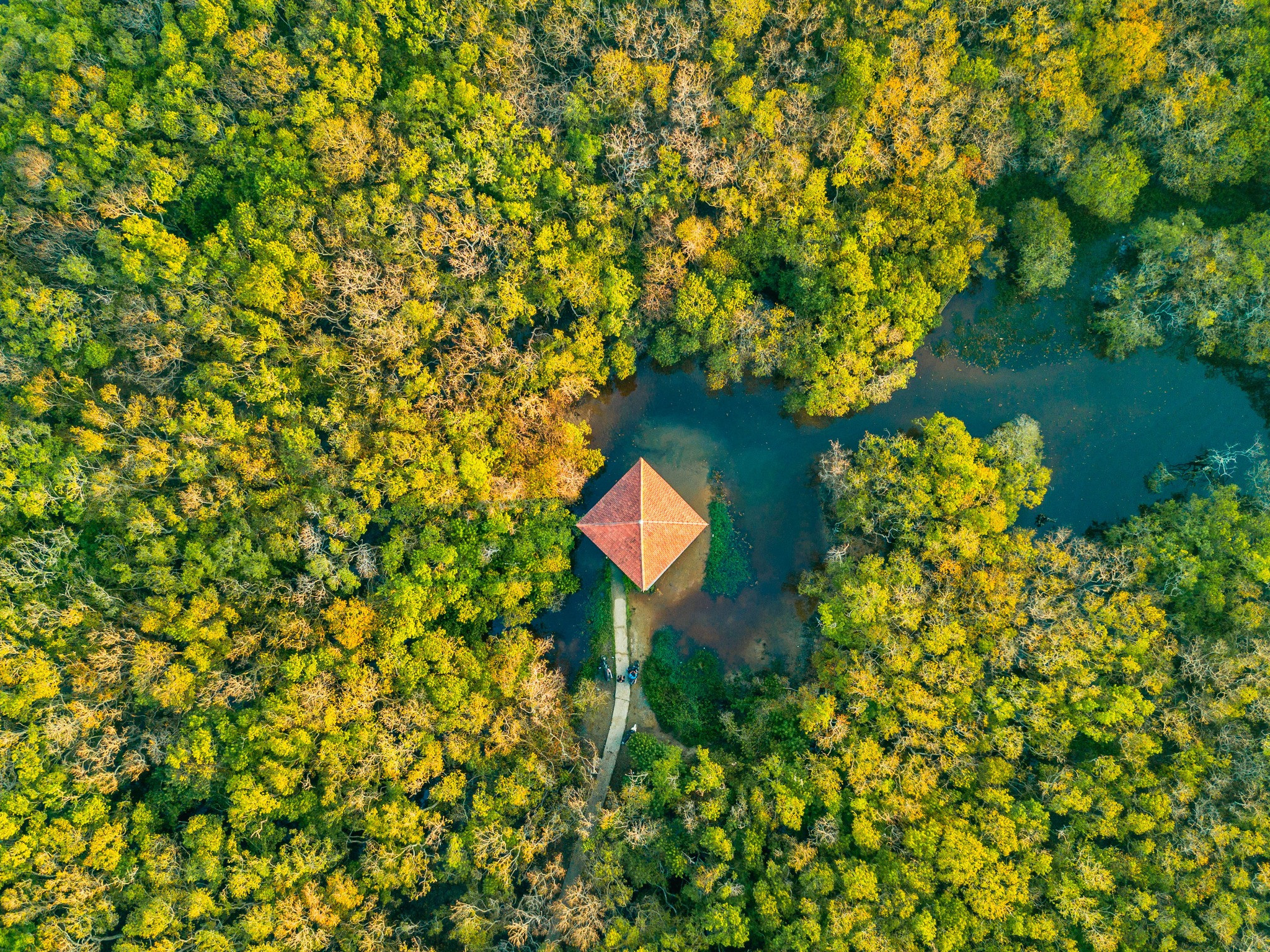 후에 (Hue)의 유일한 원시 맹그로브 숲에서 휴가를 즐기세요 Enjoy holiday at the only primitive mangrove forest in Hue