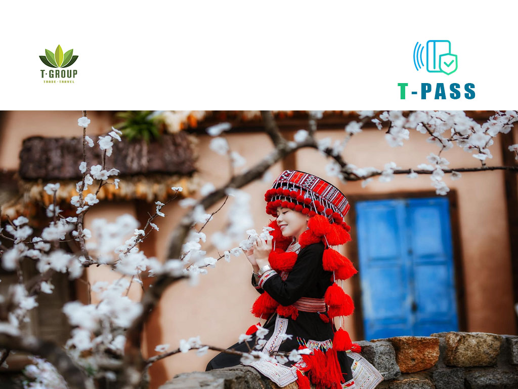 Dapa Hill - Hà Giang thu nhỏ giữa lòng Đà Lạt 