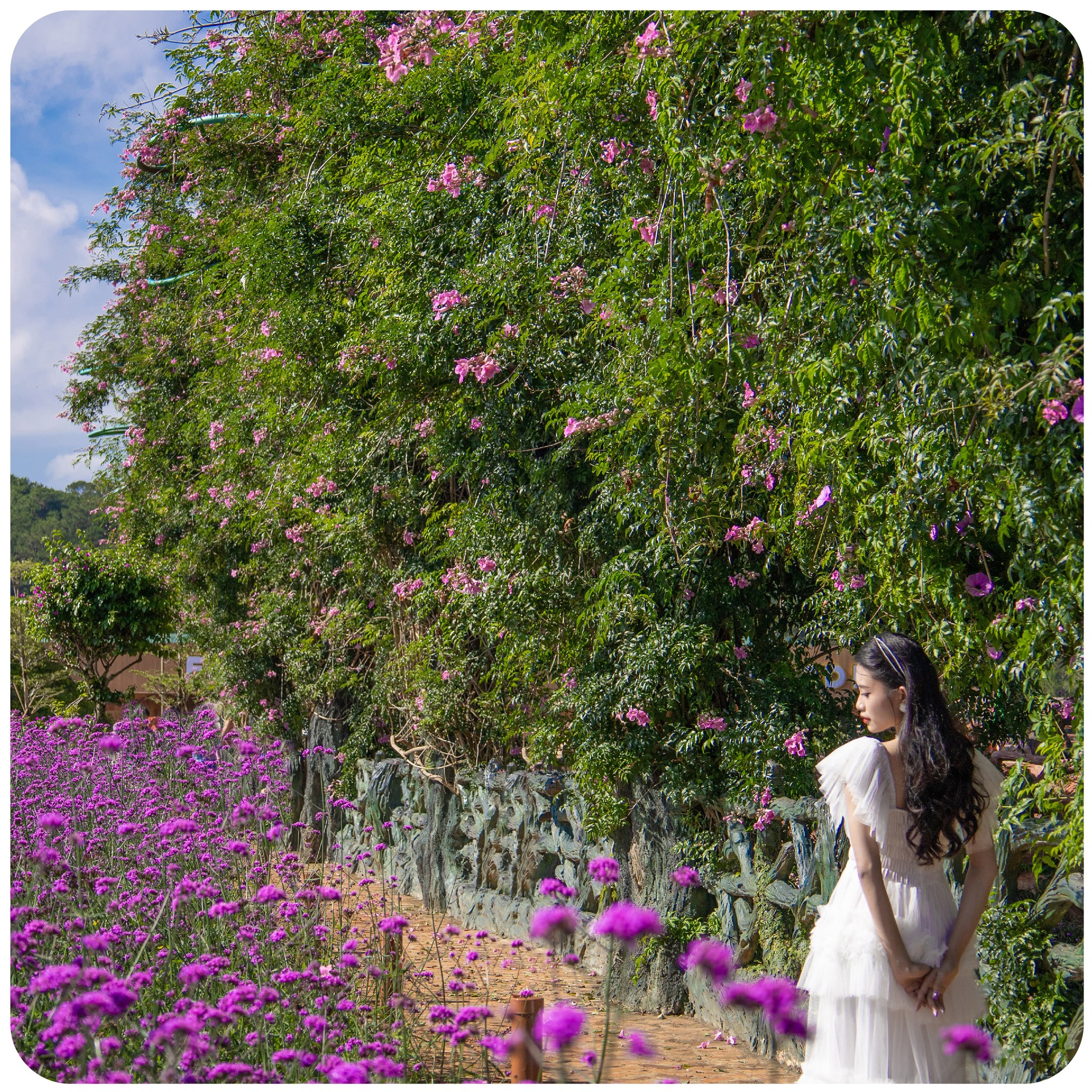 Tour check in những điểm hot tại Đà Lạt 