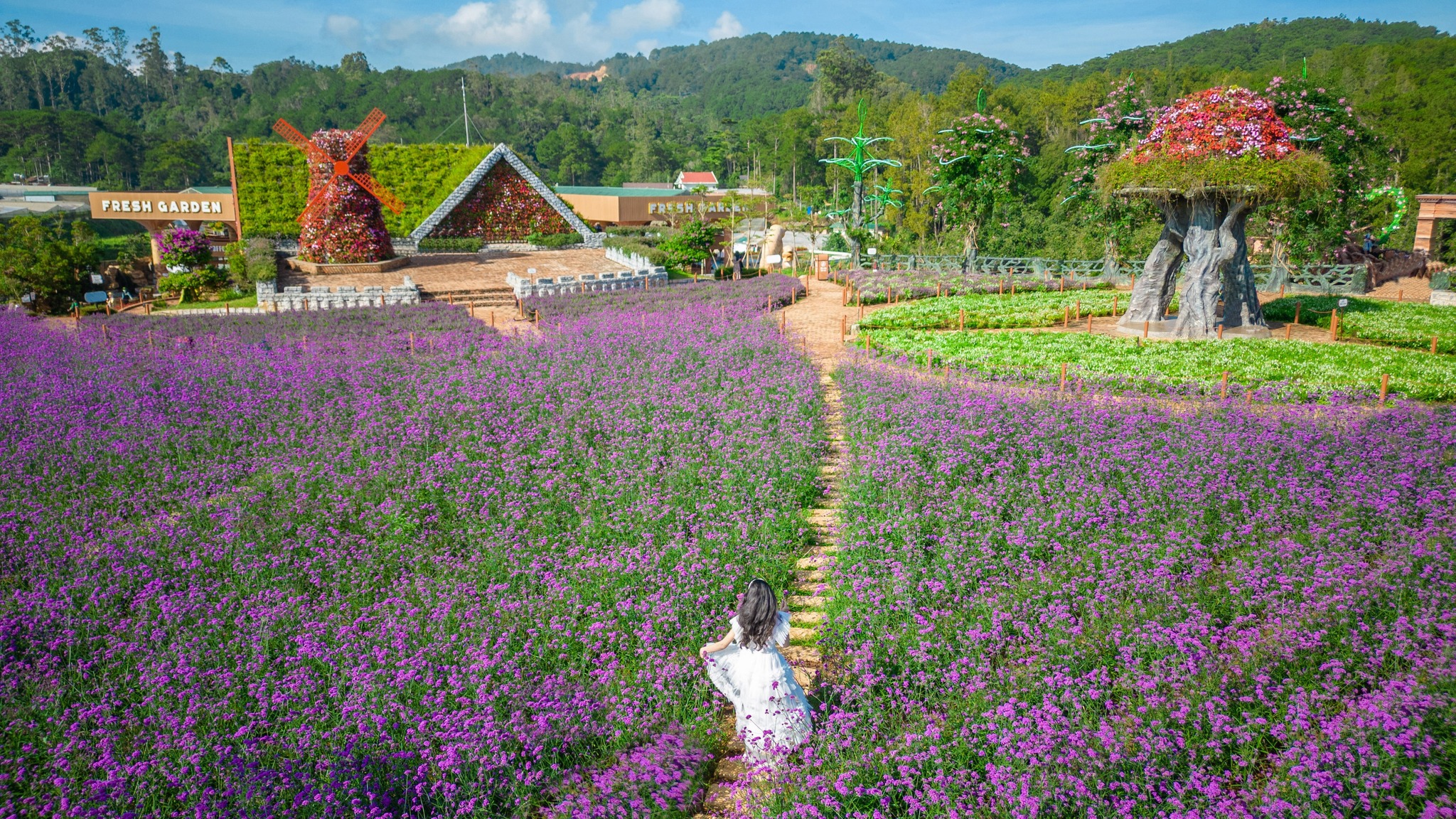 Tour check in những điểm hot tại Đà Lạt 