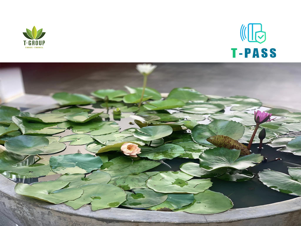 Guru chay Đà Lạt