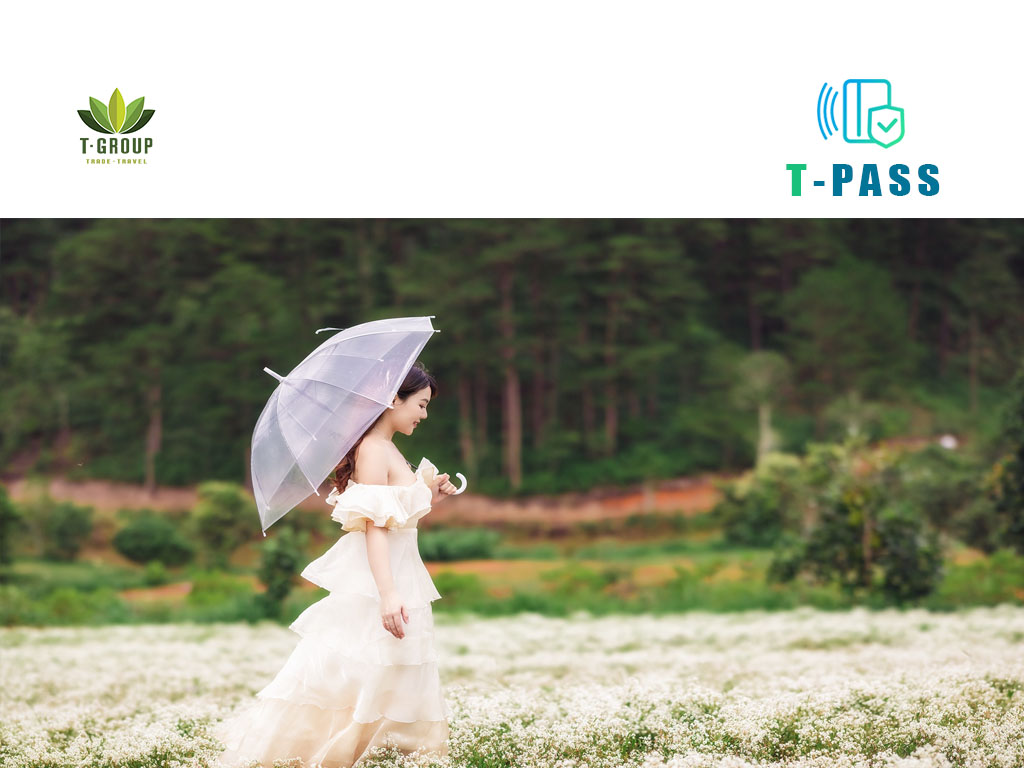 The Florest - Hoa Trong Rừng 