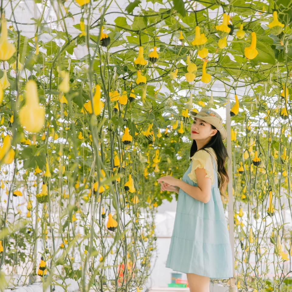 Tour tham quan ngoại thành Đà Lạt 