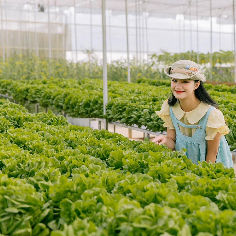 Tour tham quan ngoại thành Đà Lạt 