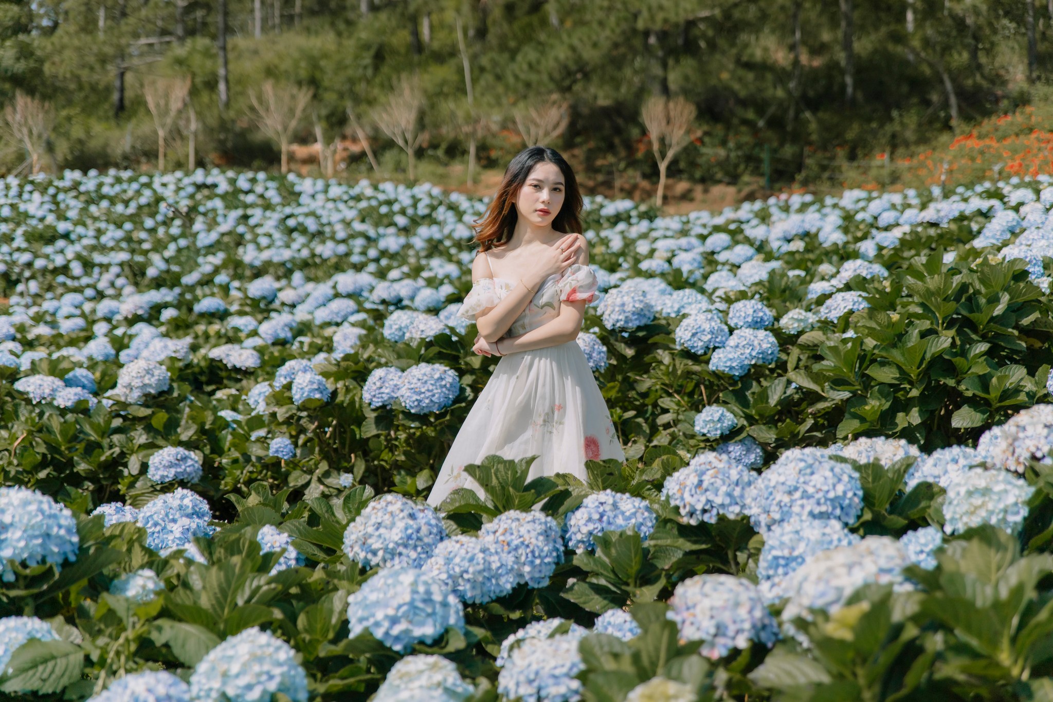Tour tham quan ngoại thành Đà Lạt 