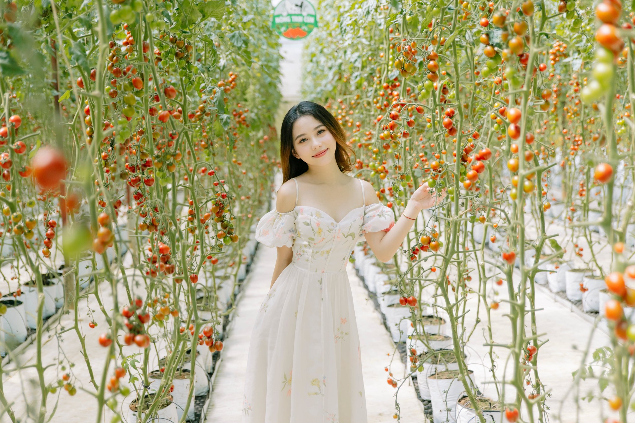 Tour check in những điểm hot tại Đà Lạt 
