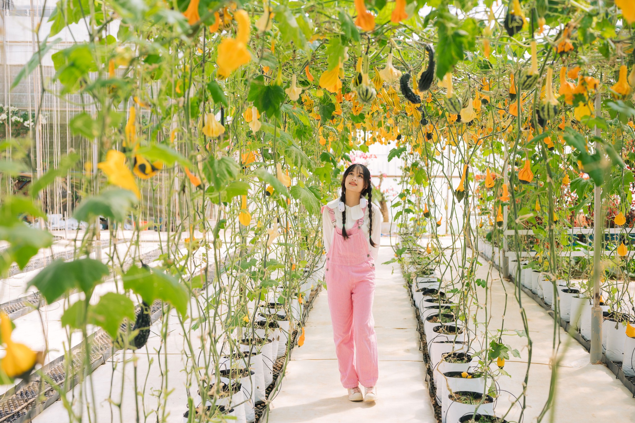 Tour tham quan ngoại thành Đà Lạt 