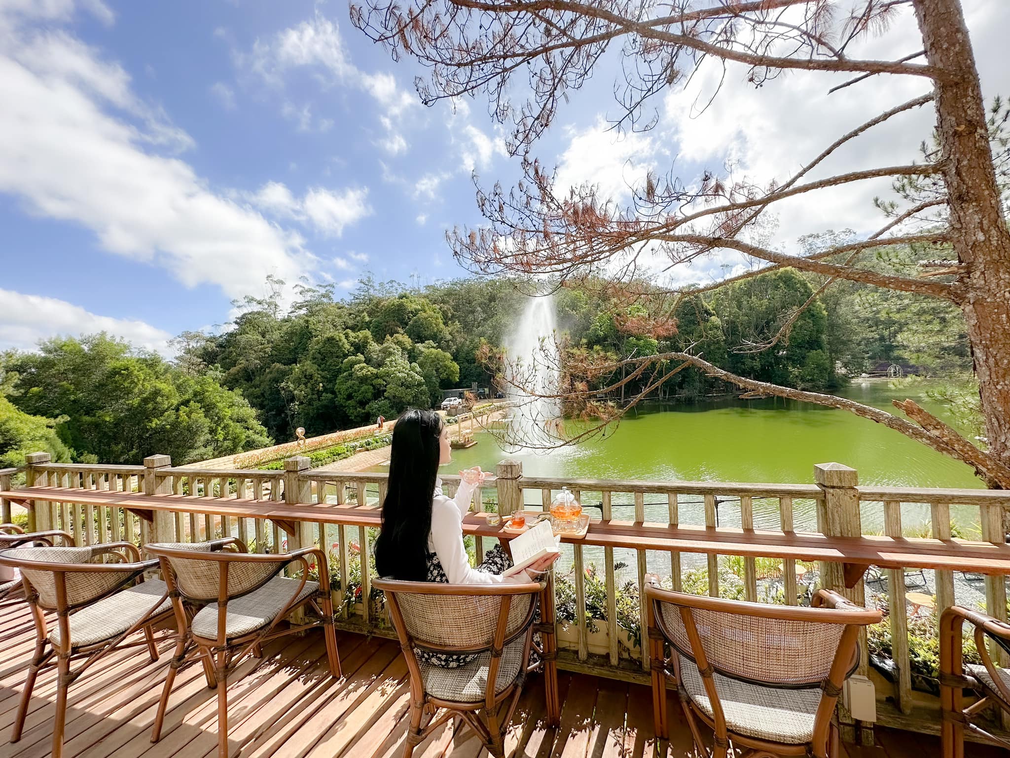 Rừng giao hưởng Đà Lạt 