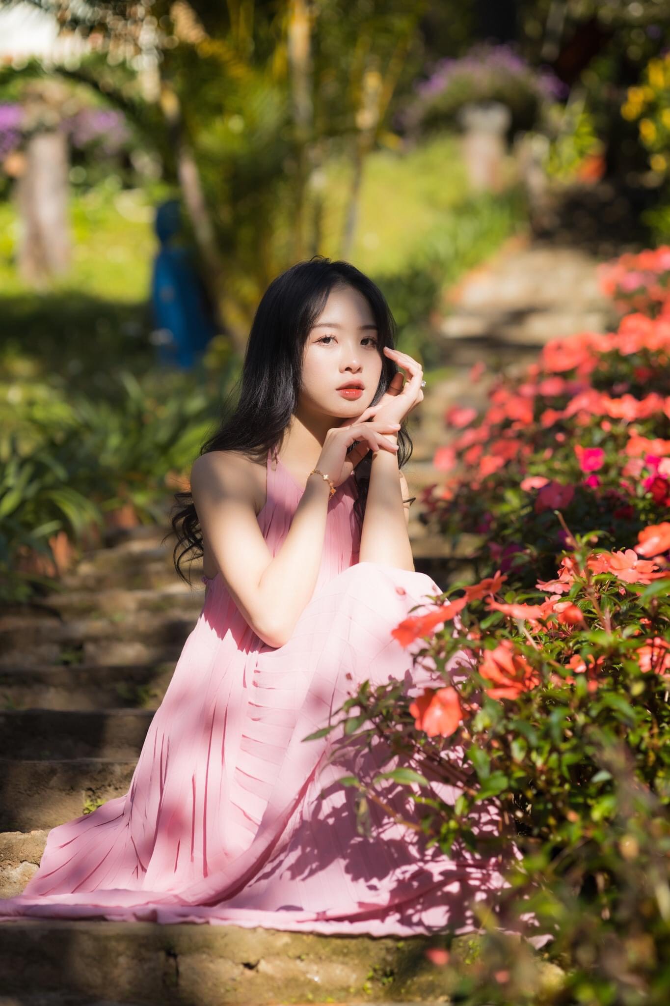 Rừng giao hưởng Đà Lạt 