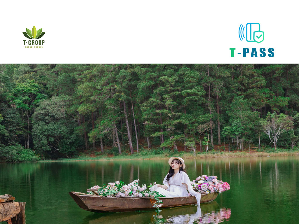 Rừng giao hưởng Đà Lạt 