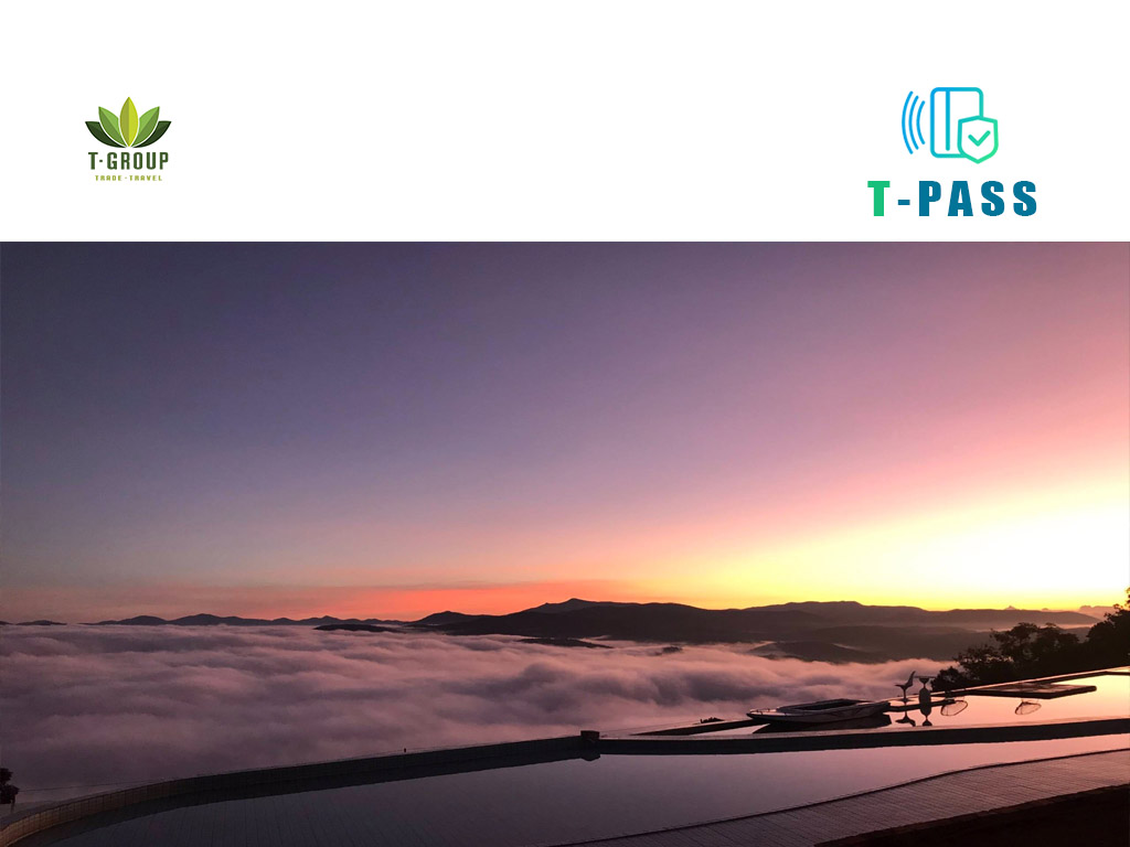 Tour săn mây Đà Lạt giá rẻ 