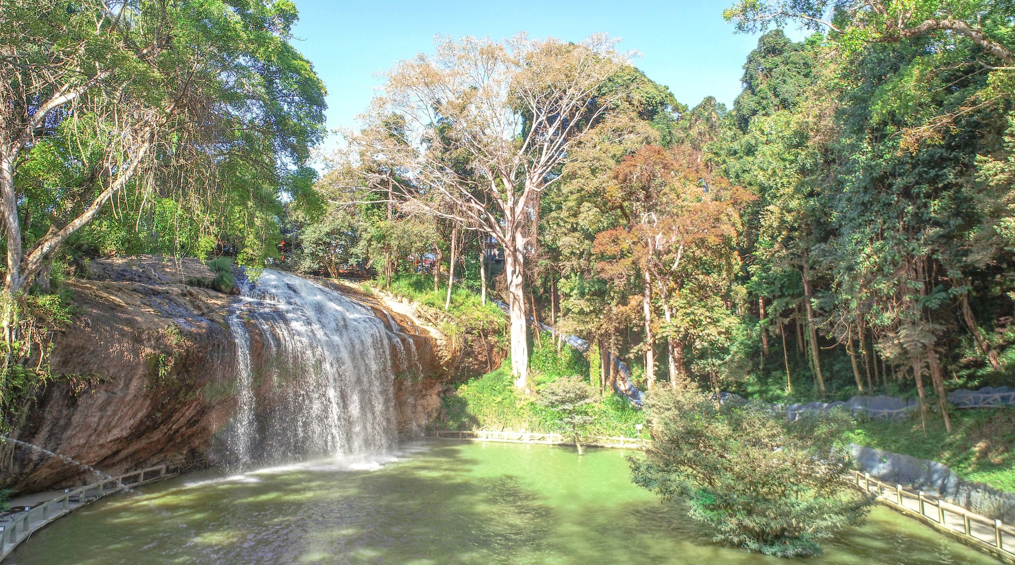 Tea Resort Prenn