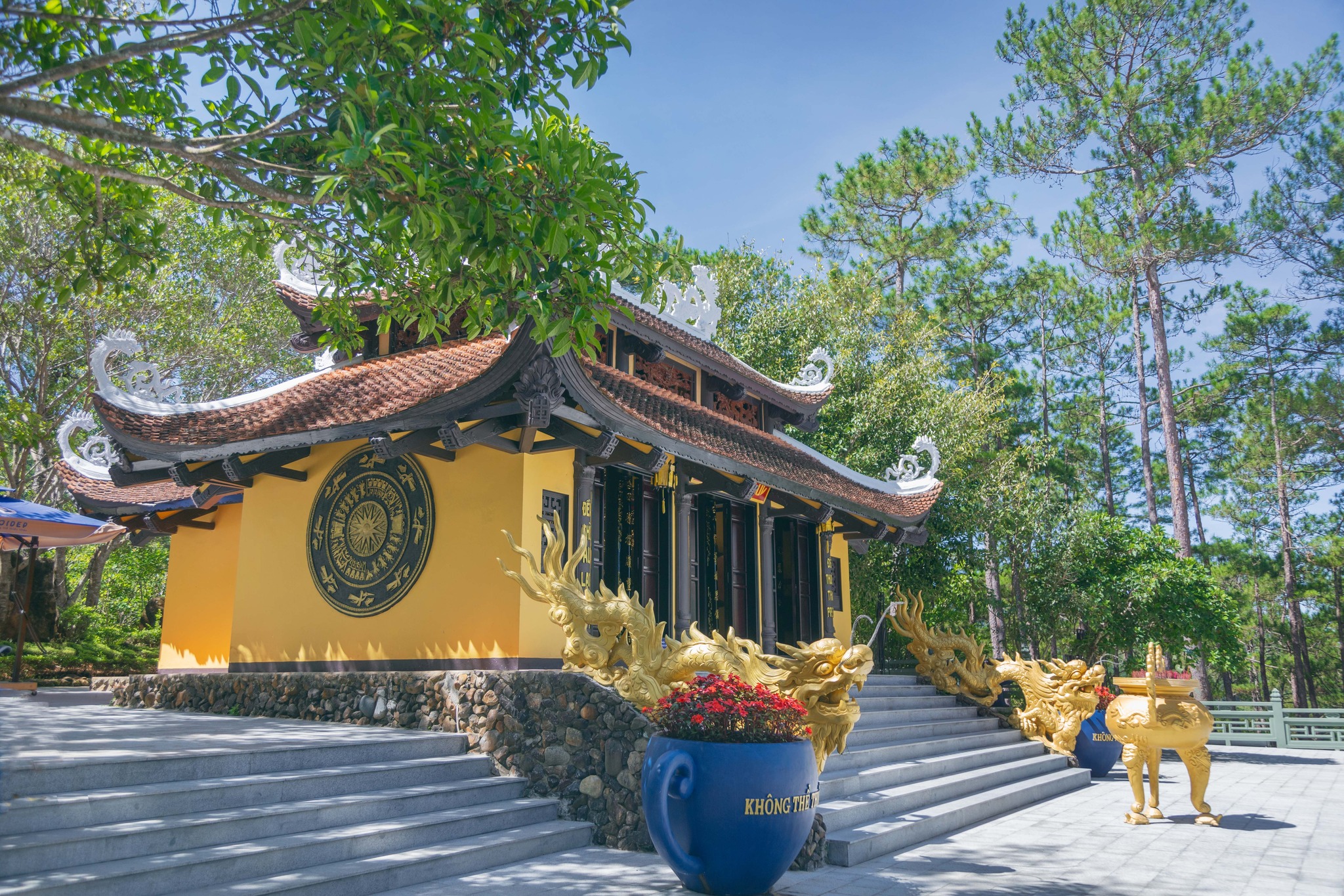 Tea Resort Prenn