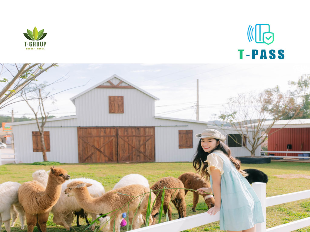 Tour check in những điểm hot tại Đà Lạt 