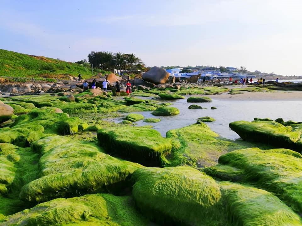 Biển Cổ Thạch, Bình Thuận