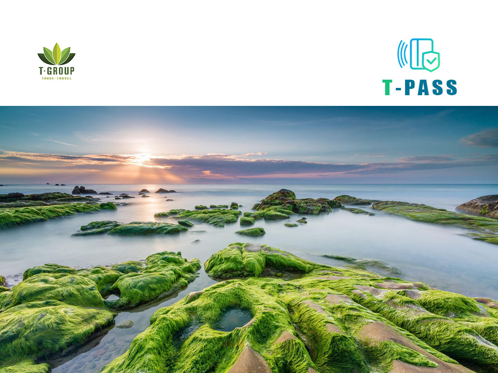 Biển Cổ Thạch, Bình Thuận