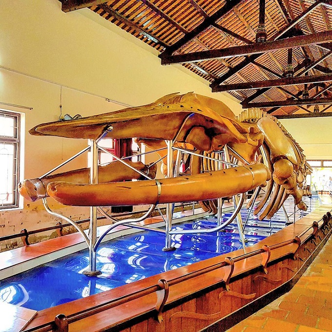 Tour 1 ngày Hải đăng Kê Gà và Núi Tà Cú từ Mũi Né