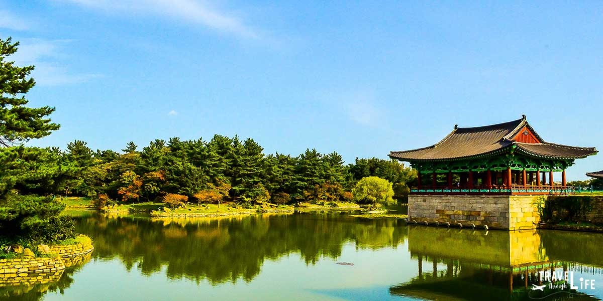 Một ngày ghé thăm di sản thế giới, khởi hành từ Busan - Gyeongju, Seokgulam, Bulguksa Temple