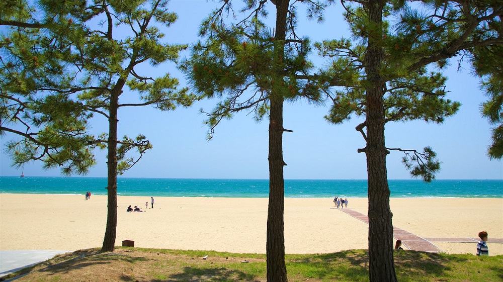 Bãi biển Haeundae, Busan