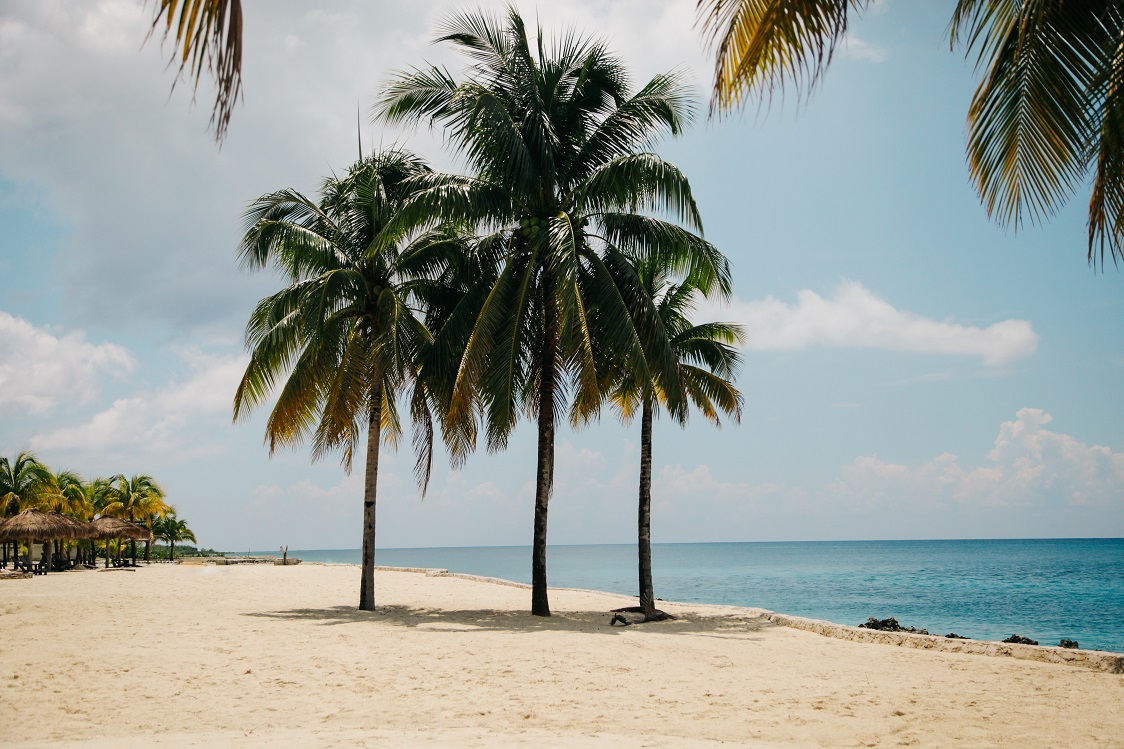 Xe riêng đưa/đón sân bay Cam Ranh