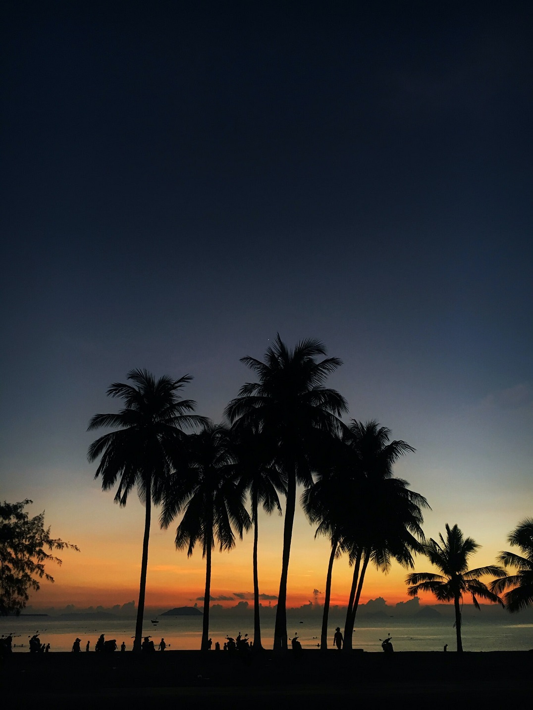 Xe riêng đưa/đón sân bay Cam Ranh