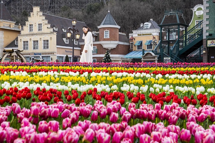 Combo vé tham quan Everland và xe đưa đón từ Seoul