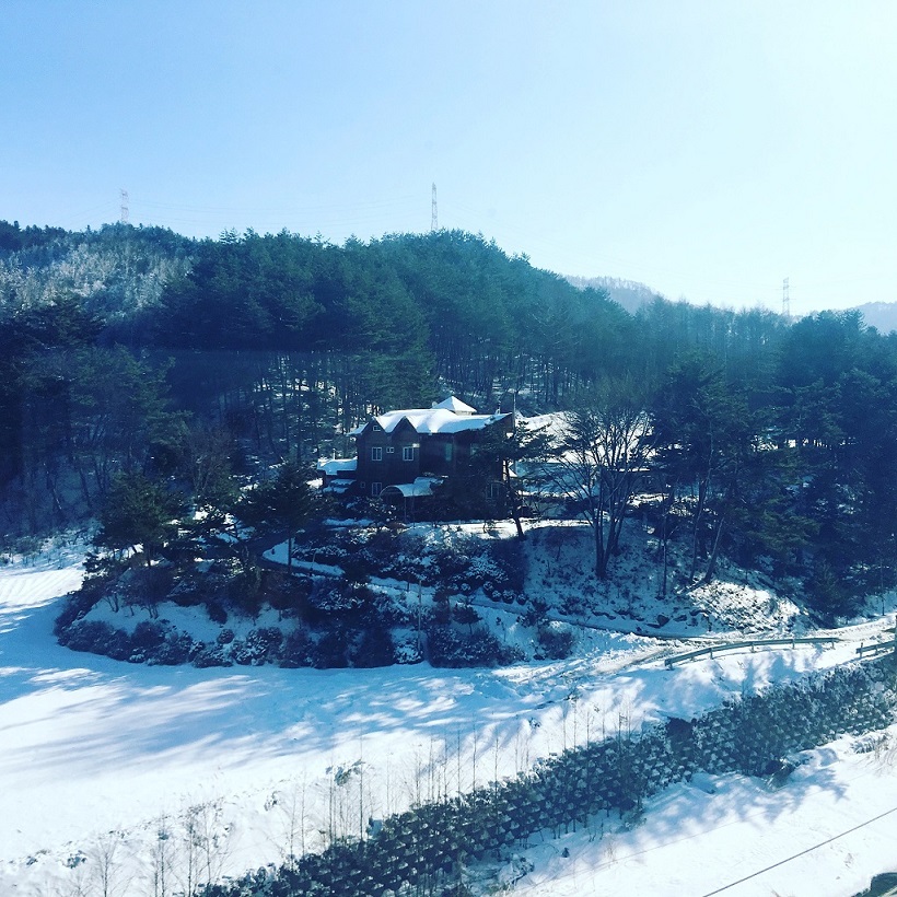 Tour 2 ngày 1 đêm ở Gangneung