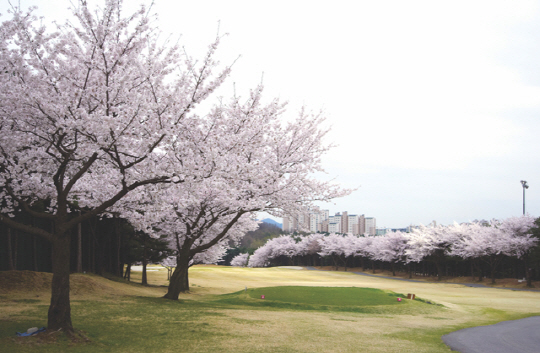 Du lịch golf tại Hàn Quốc (5 ngày 4 đêm)